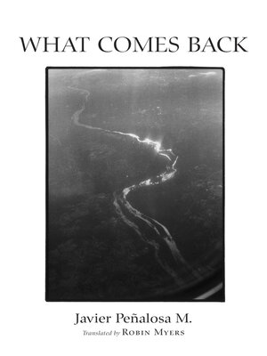 cover image of What Comes Back